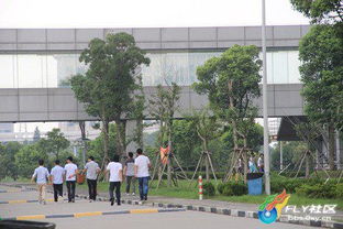 HTC上海工廠實探 員工停工月余，拿萬元遣散費成“好果田”